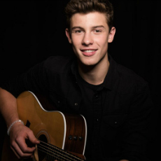 shawn mendes 2