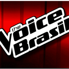 the voice 2