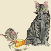 Gatos E Ratos